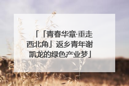 「青春华章·重走西北角」返乡青年谢凯龙的绿色产业梦